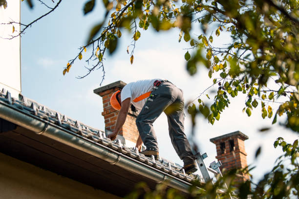Quick and Trustworthy Emergency Roof Repair Services in Pine Beach, NJ